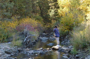 Greenley Slater takes photos of bushes changing colors. Photo Credit: Katie Reed